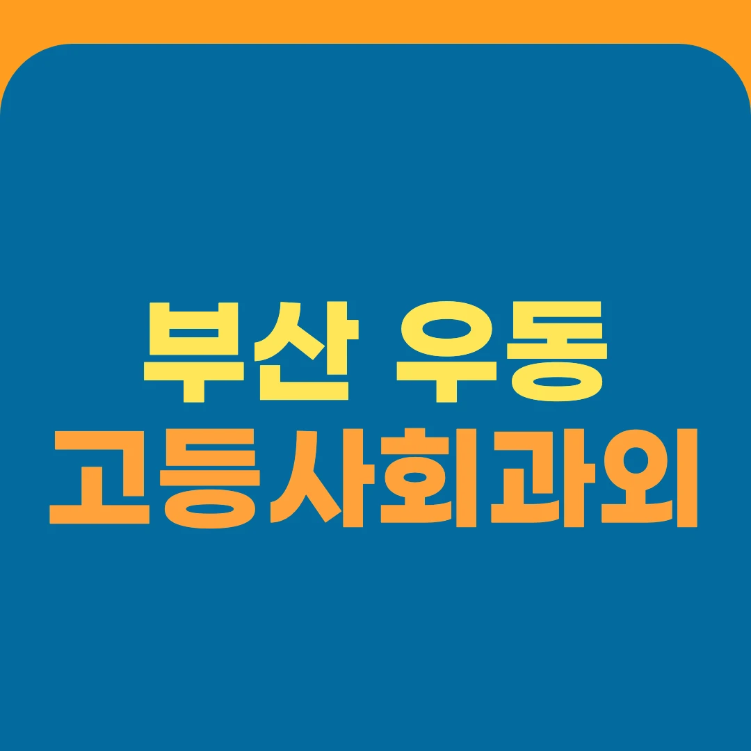 부산 우동 고등사회과외