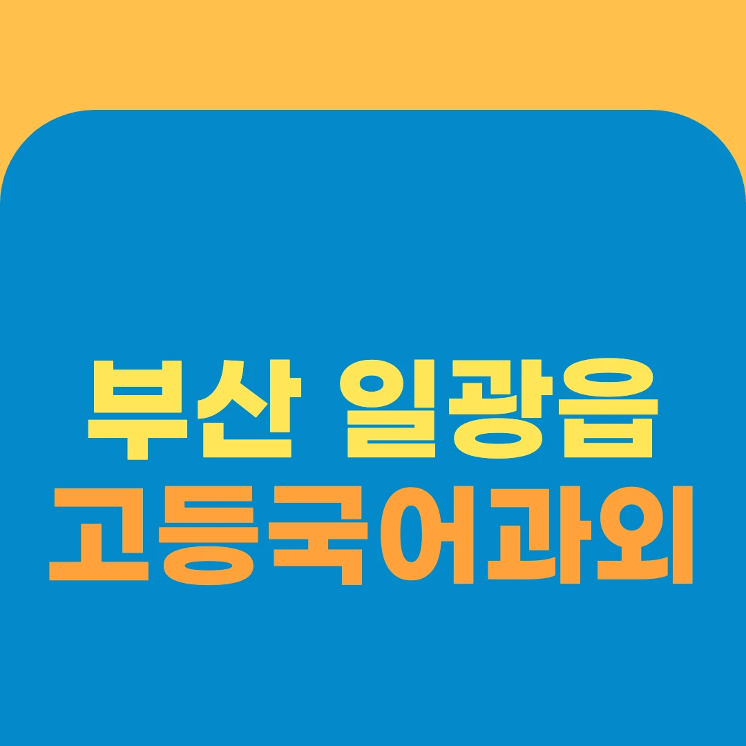 부산 일광읍 고등국어과외