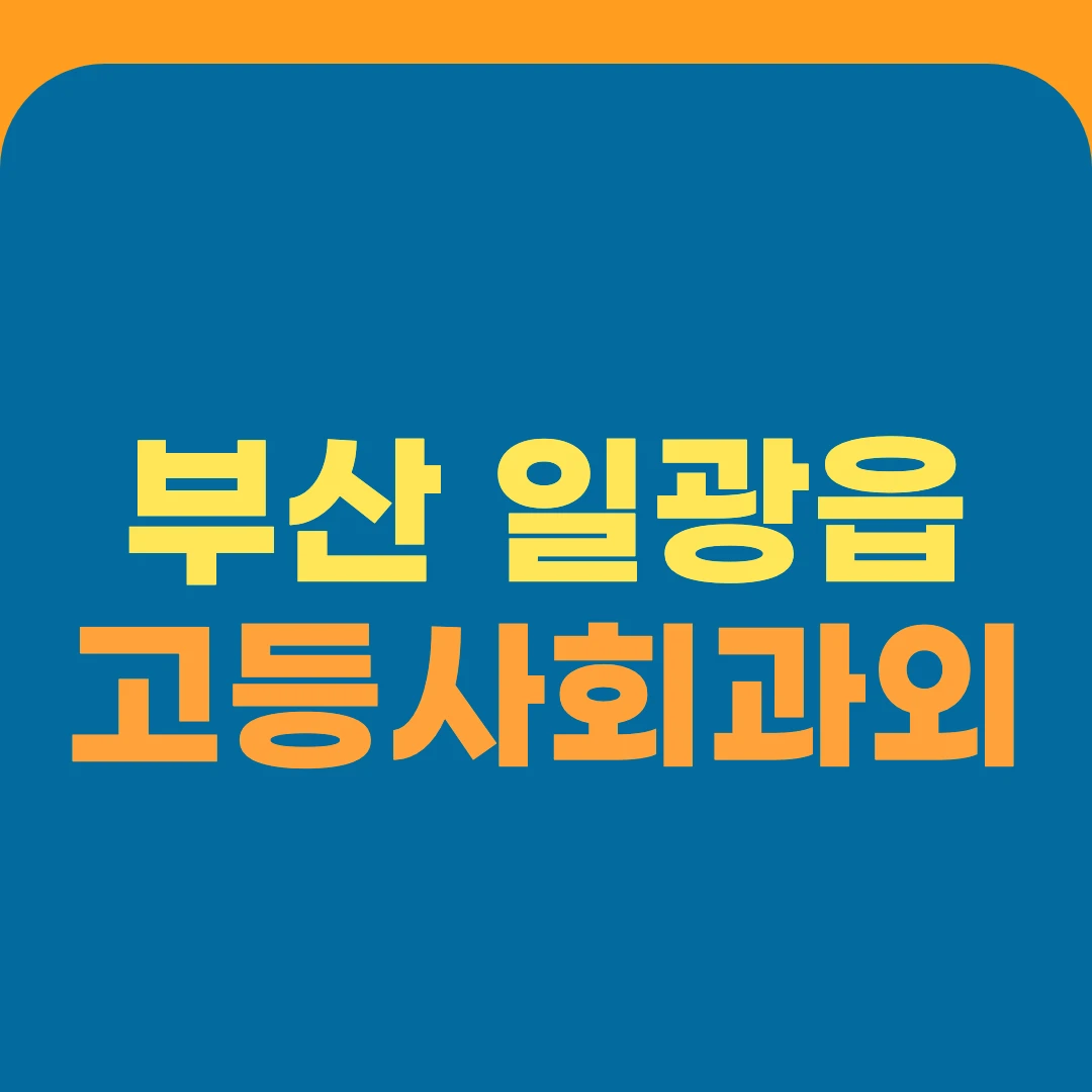 부산 일광읍 고등사회과외