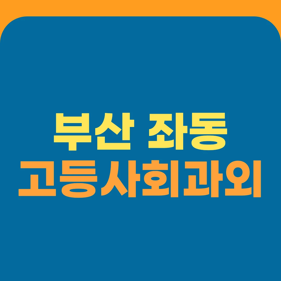 부산 좌동 고등사회과외