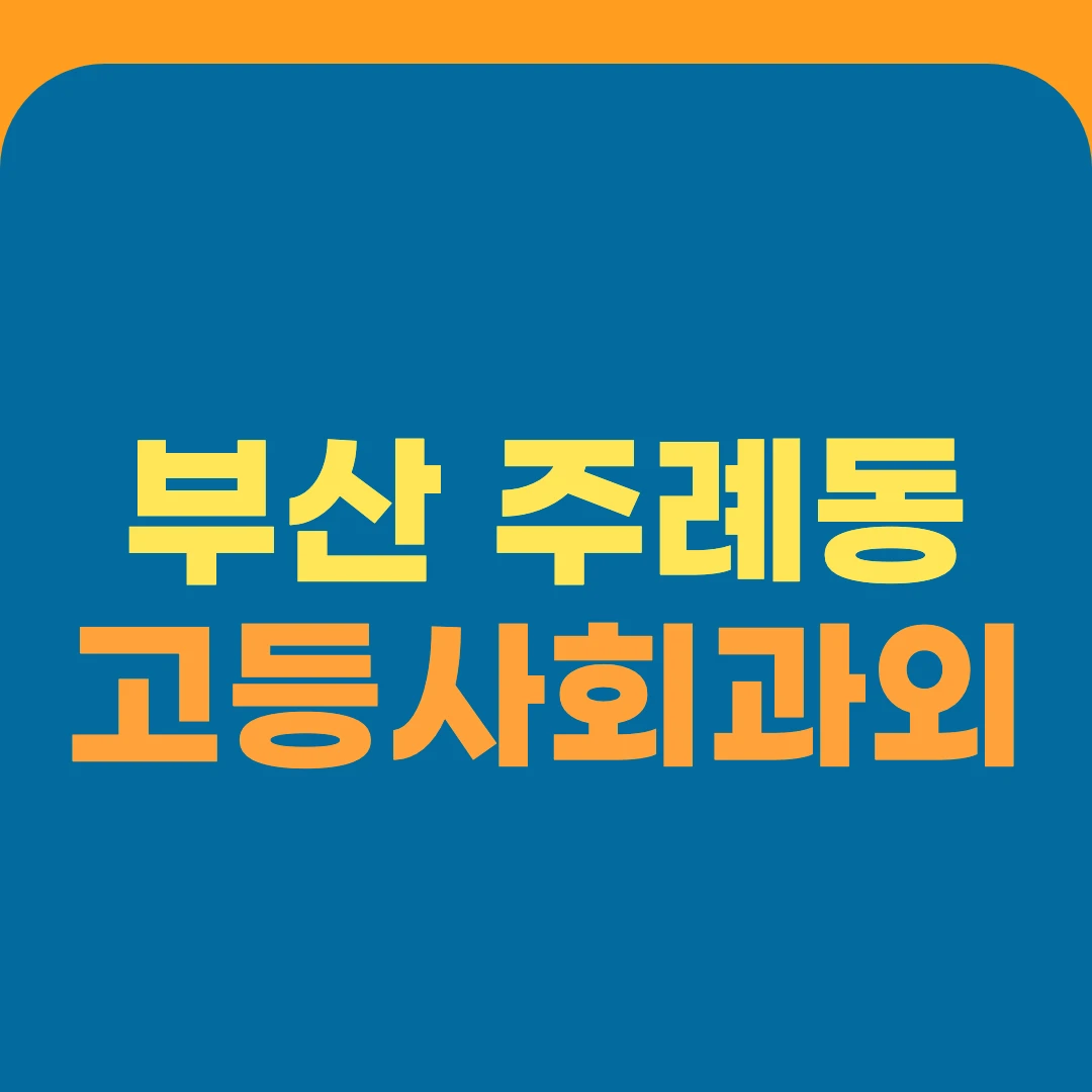 부산 주례동 고등사회과외