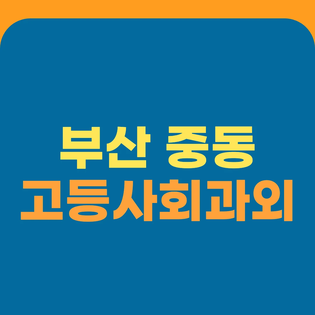 부산 중동 고등사회과외
