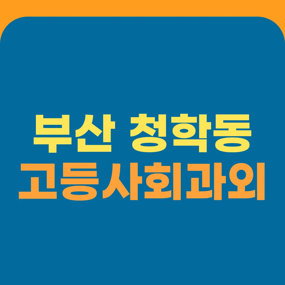 부산 청학동 고등사회과외