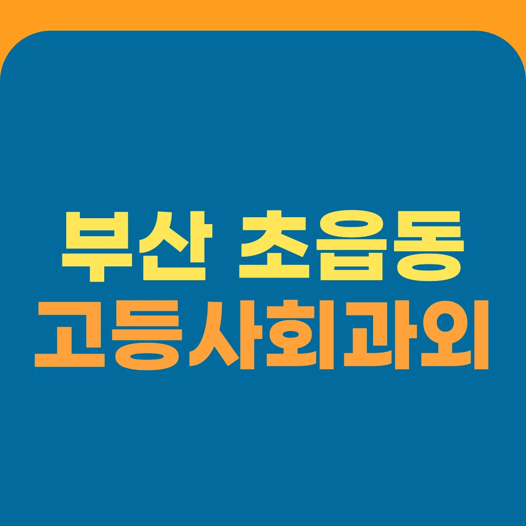부산 초읍동 고등사회과외