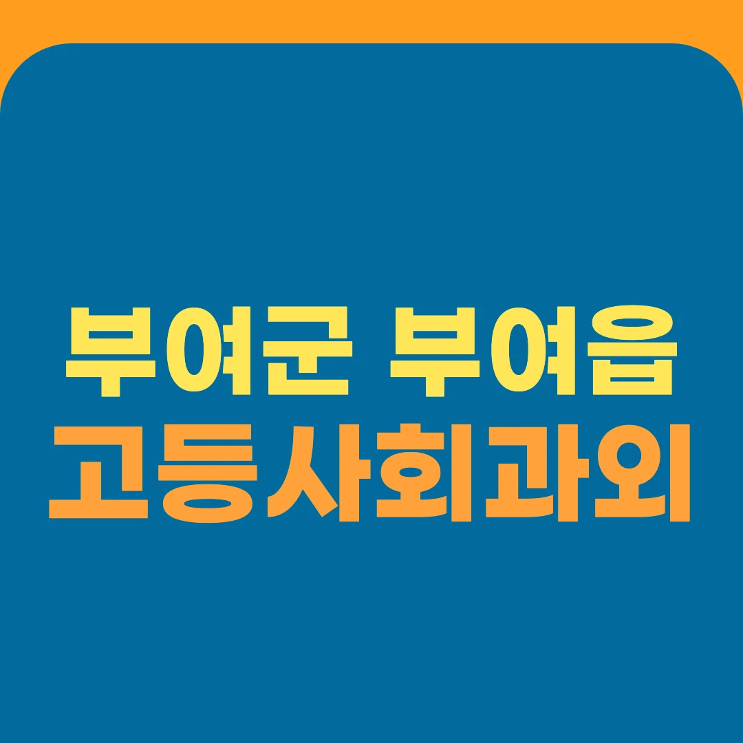 부여군 부여읍 고등사회과외