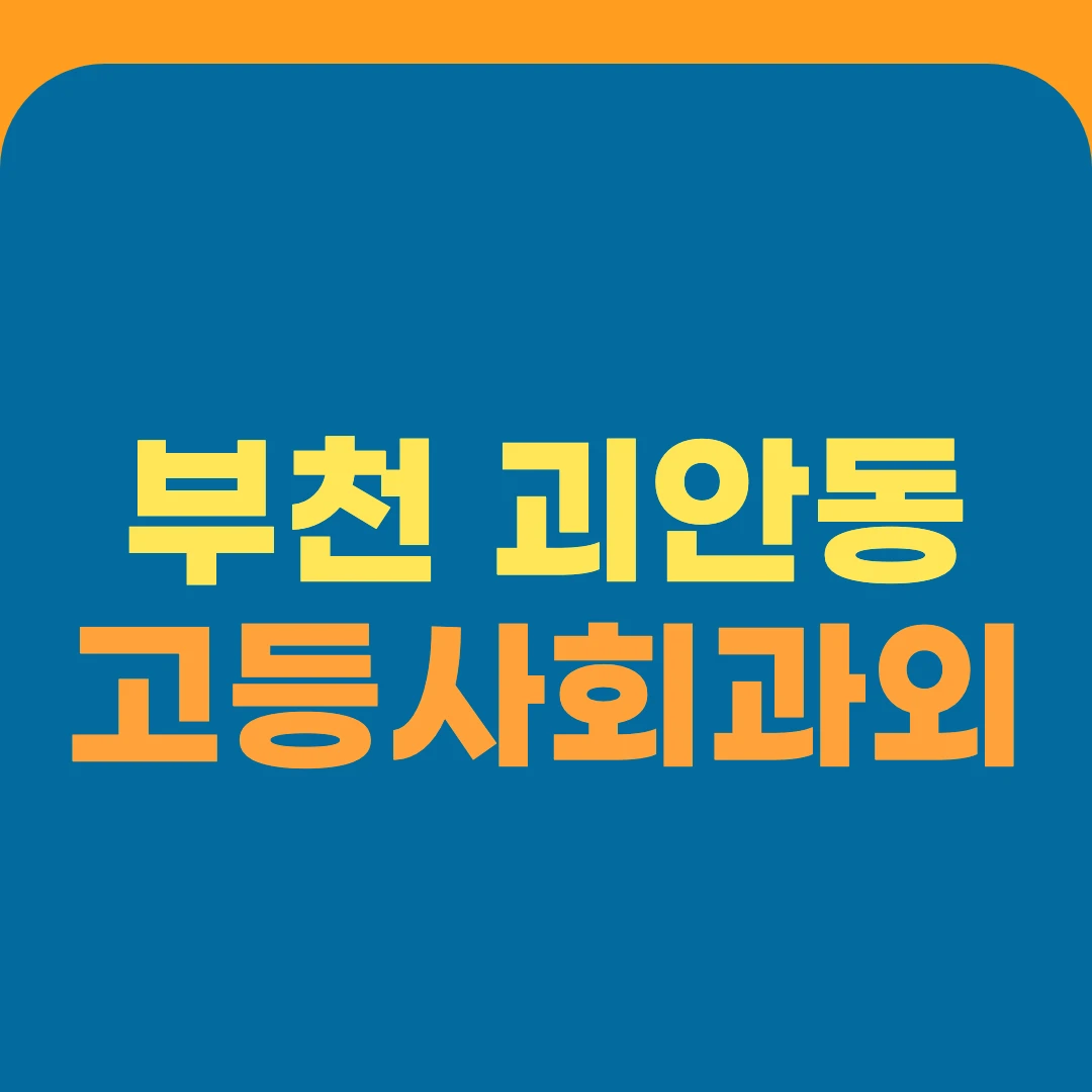 부천 괴안동 고등사회과외