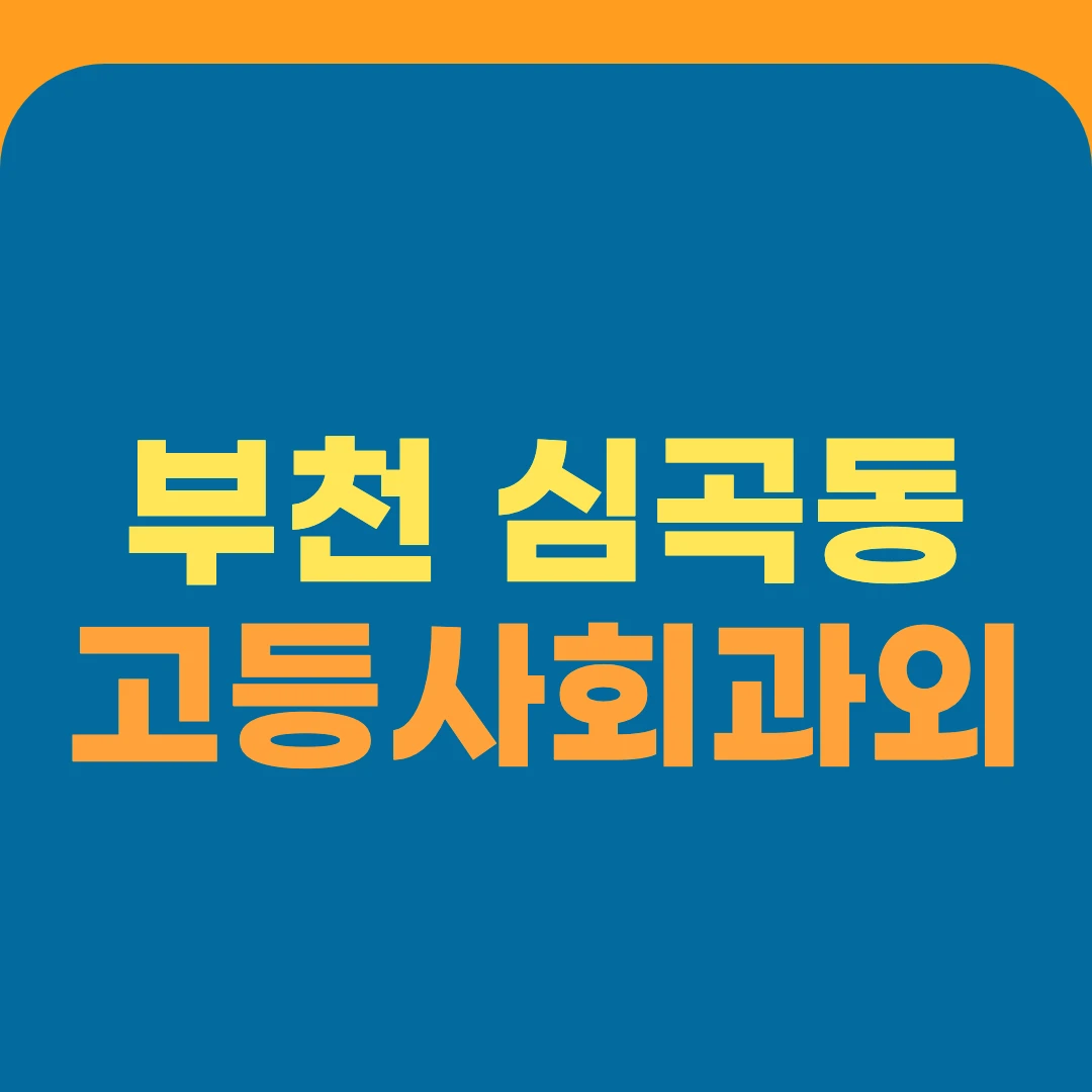 부천 심곡동 고등사회과외