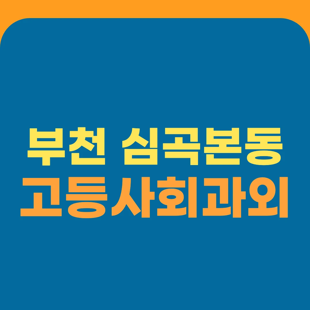 부천 심곡본동 고등사회과외