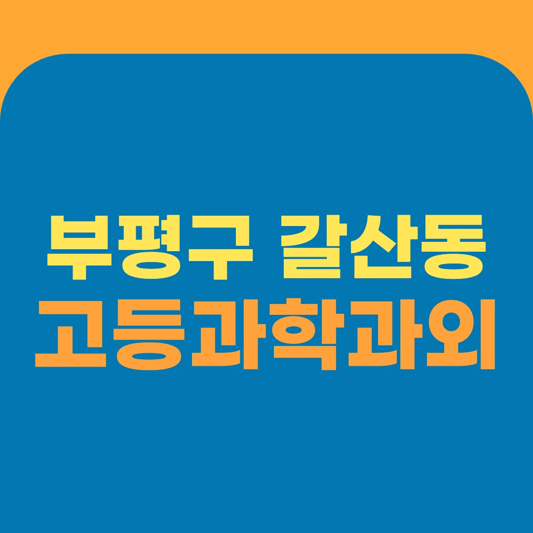 부평구 갈산동 고등과학과외