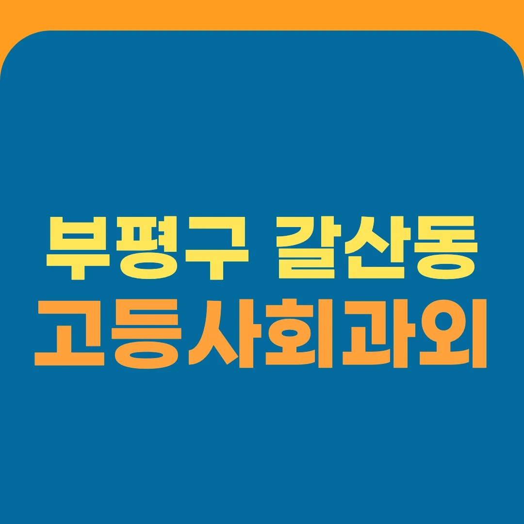 부평구 갈산동 고등사회과외