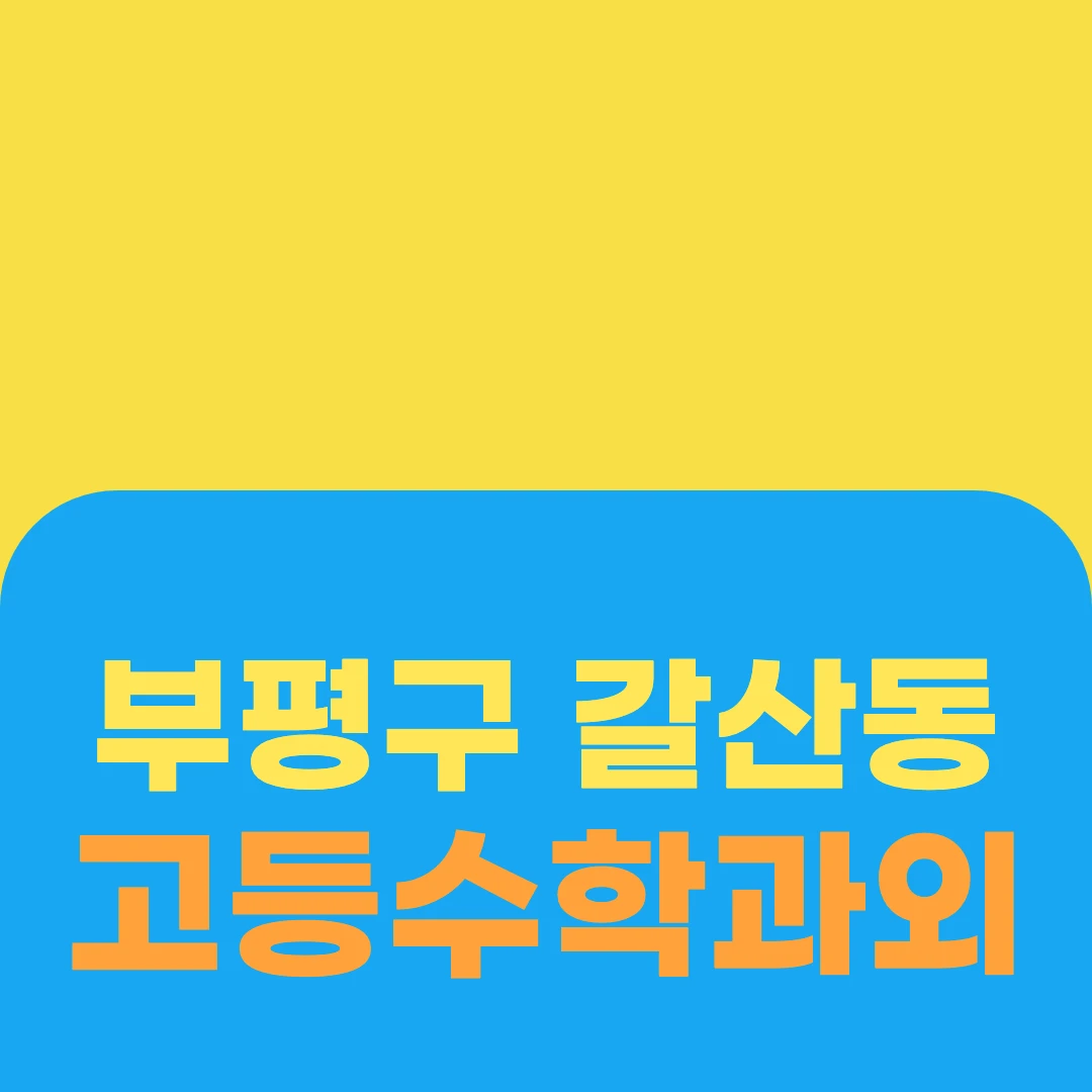 부평구 갈산동 고등수학과외