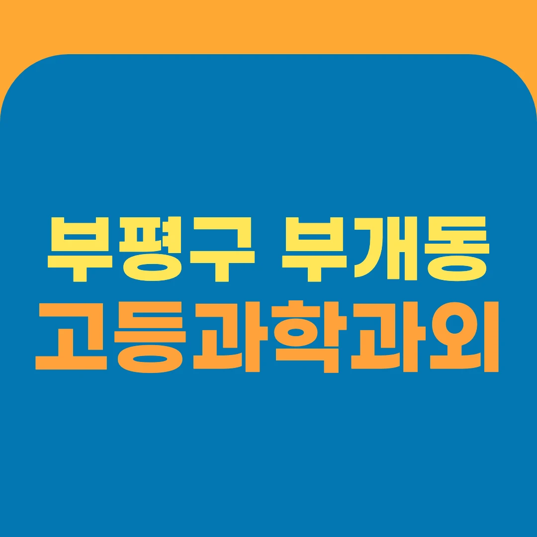 부평구 부개동 고등과학과외