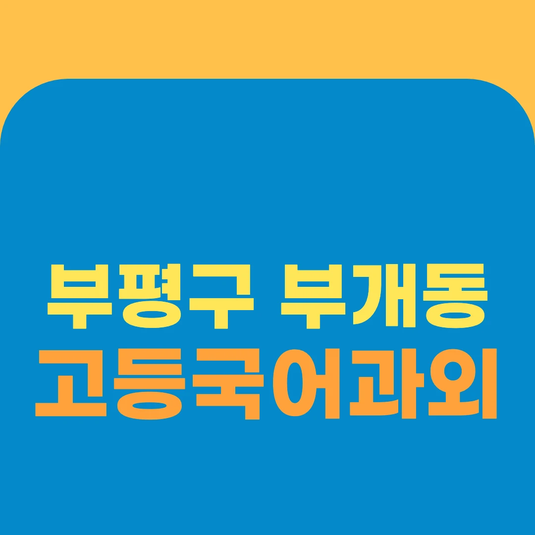 부평구 부개동 고등국어과외