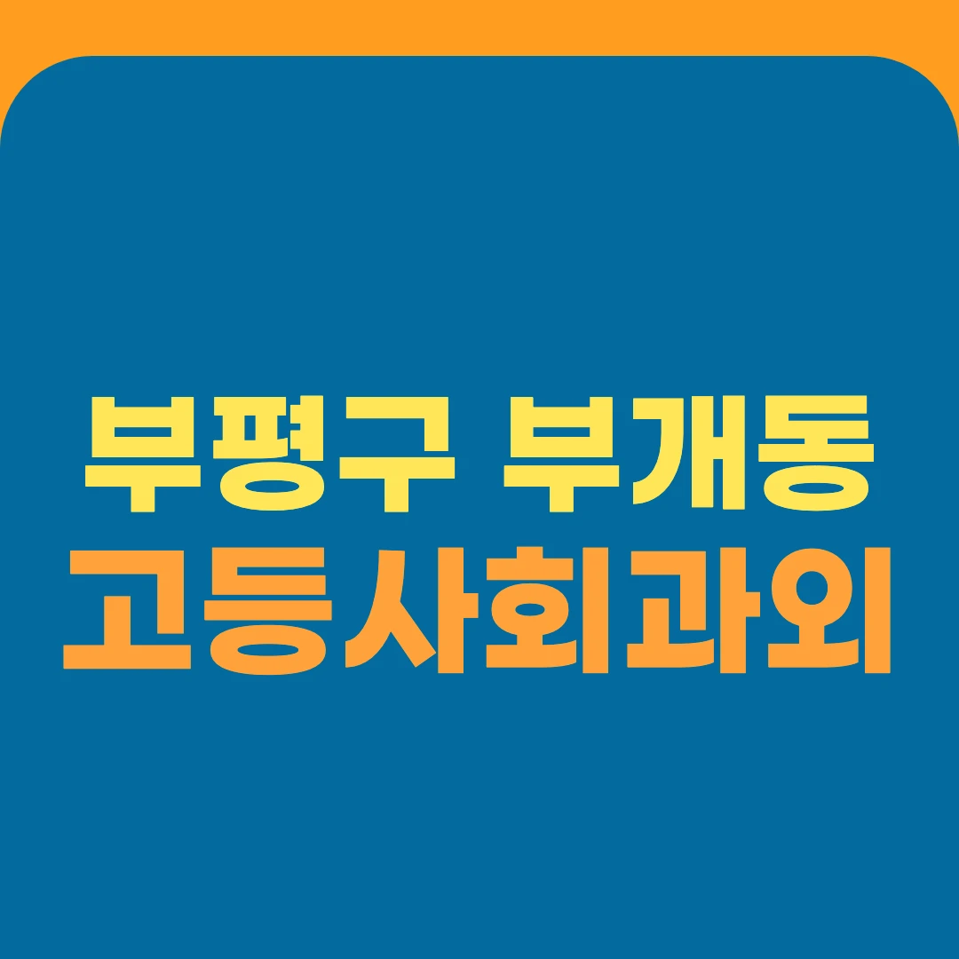 부평구 부개동 고등사회과외