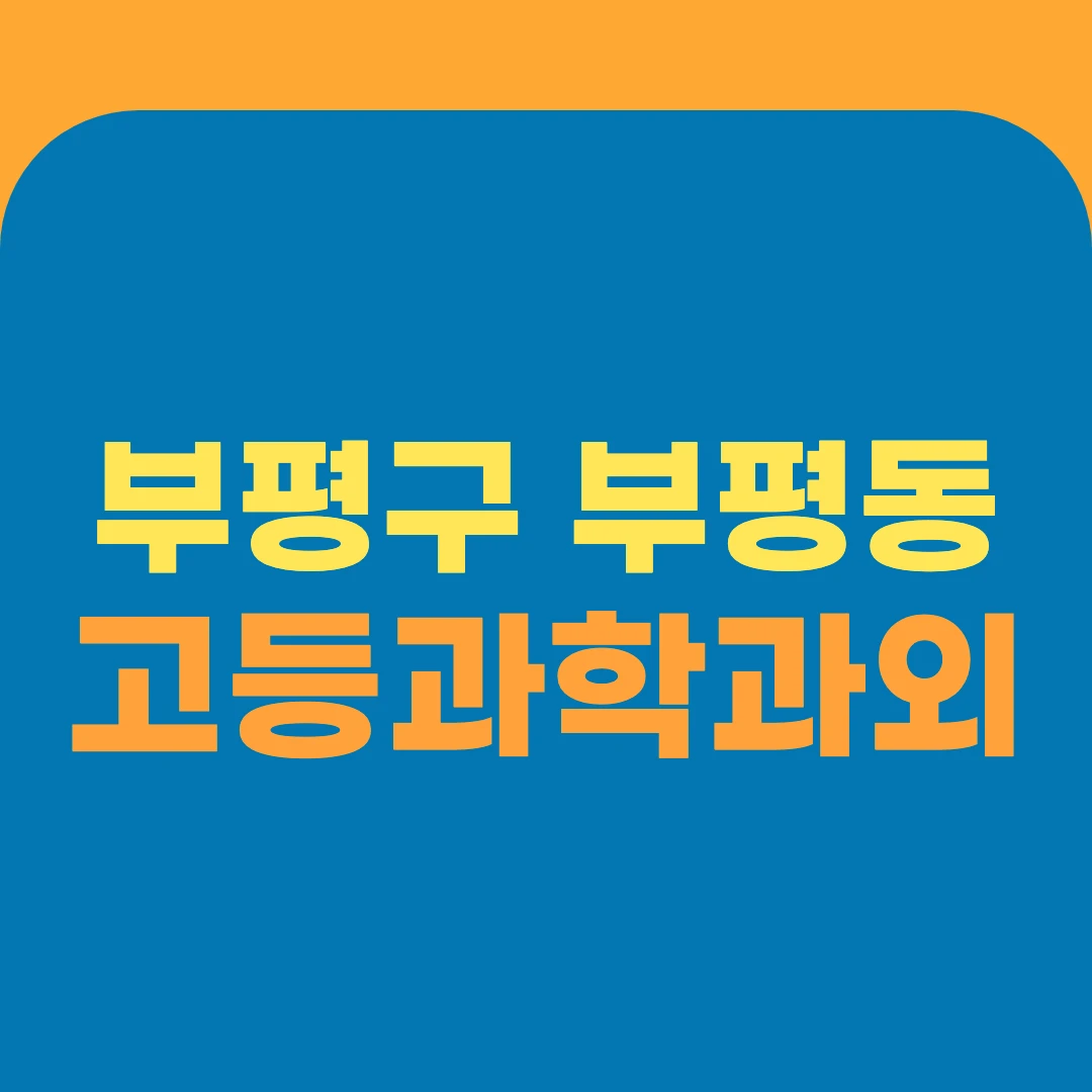 부평구 부평동 고등과학과외