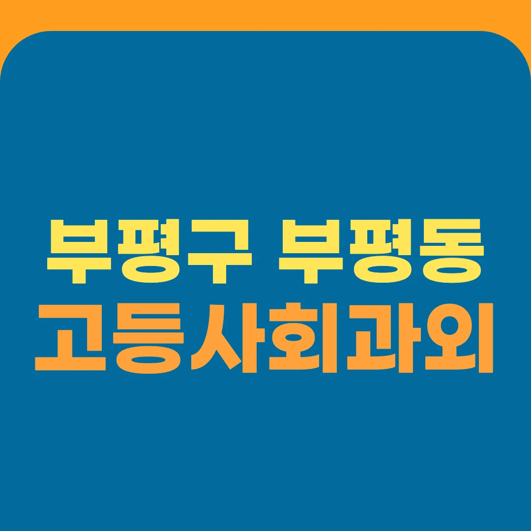 부평구 부평동 고등사회과외