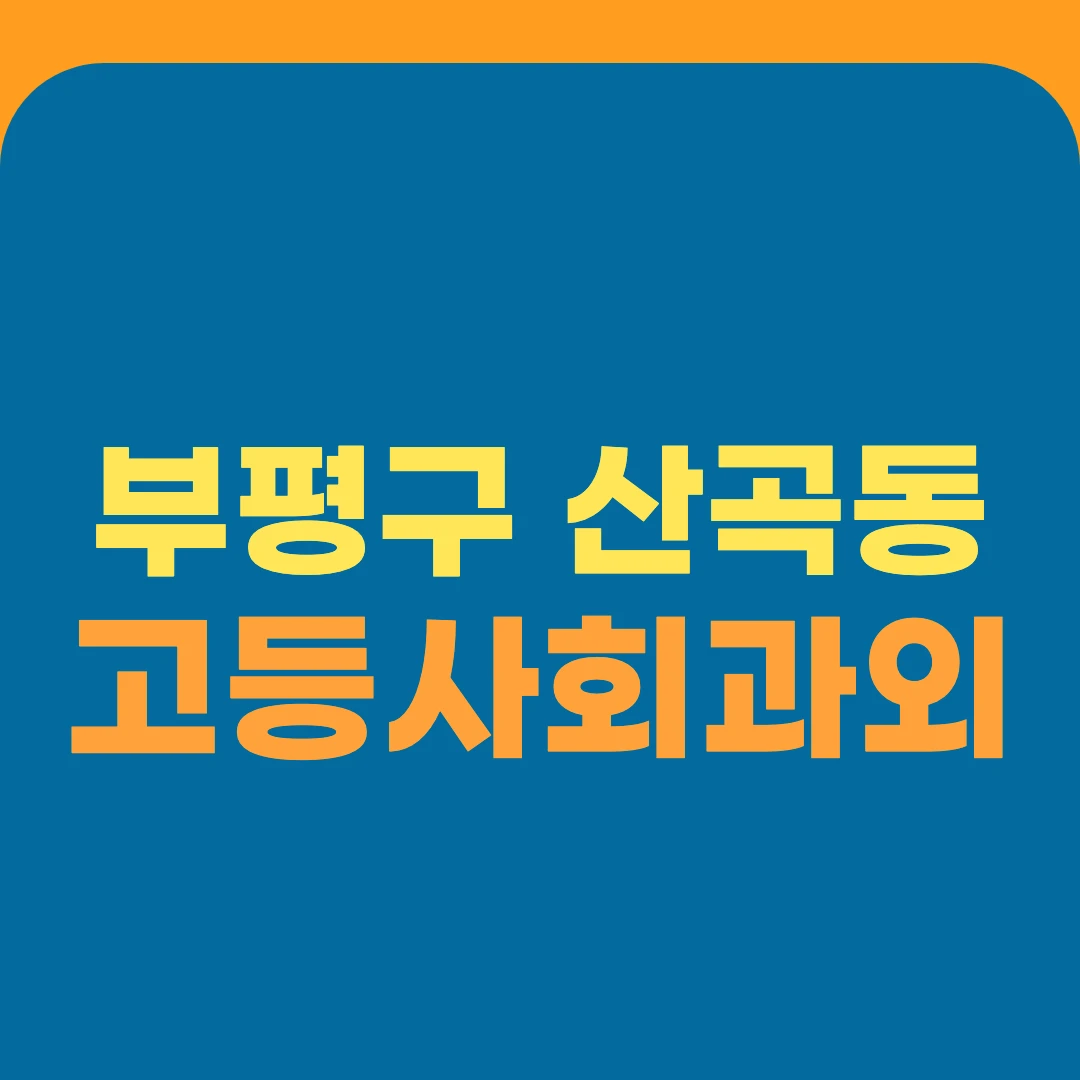 부평구 산곡동 고등사회과외
