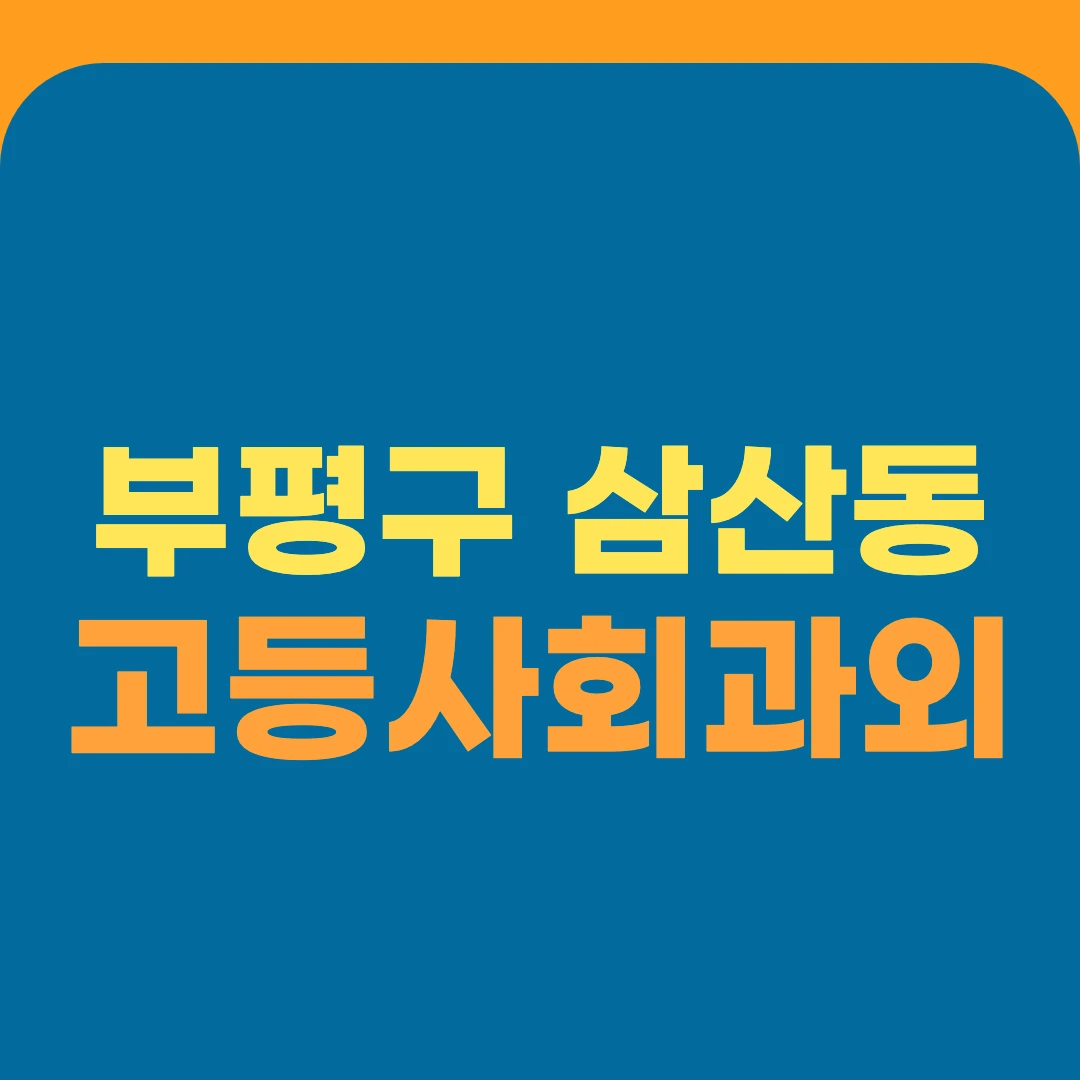 부평구 삼산동 고등사회과외