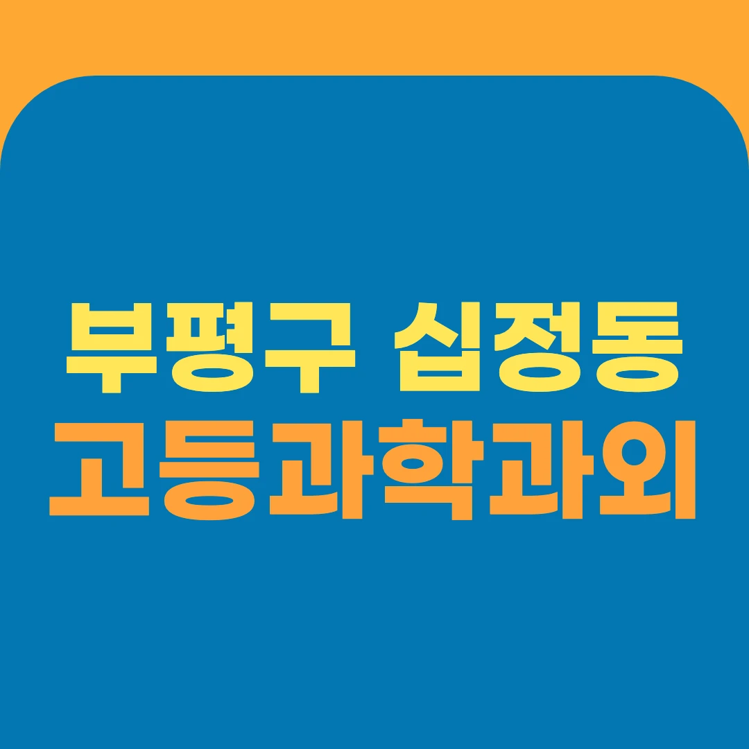 부평구 십정동 고등과학과외