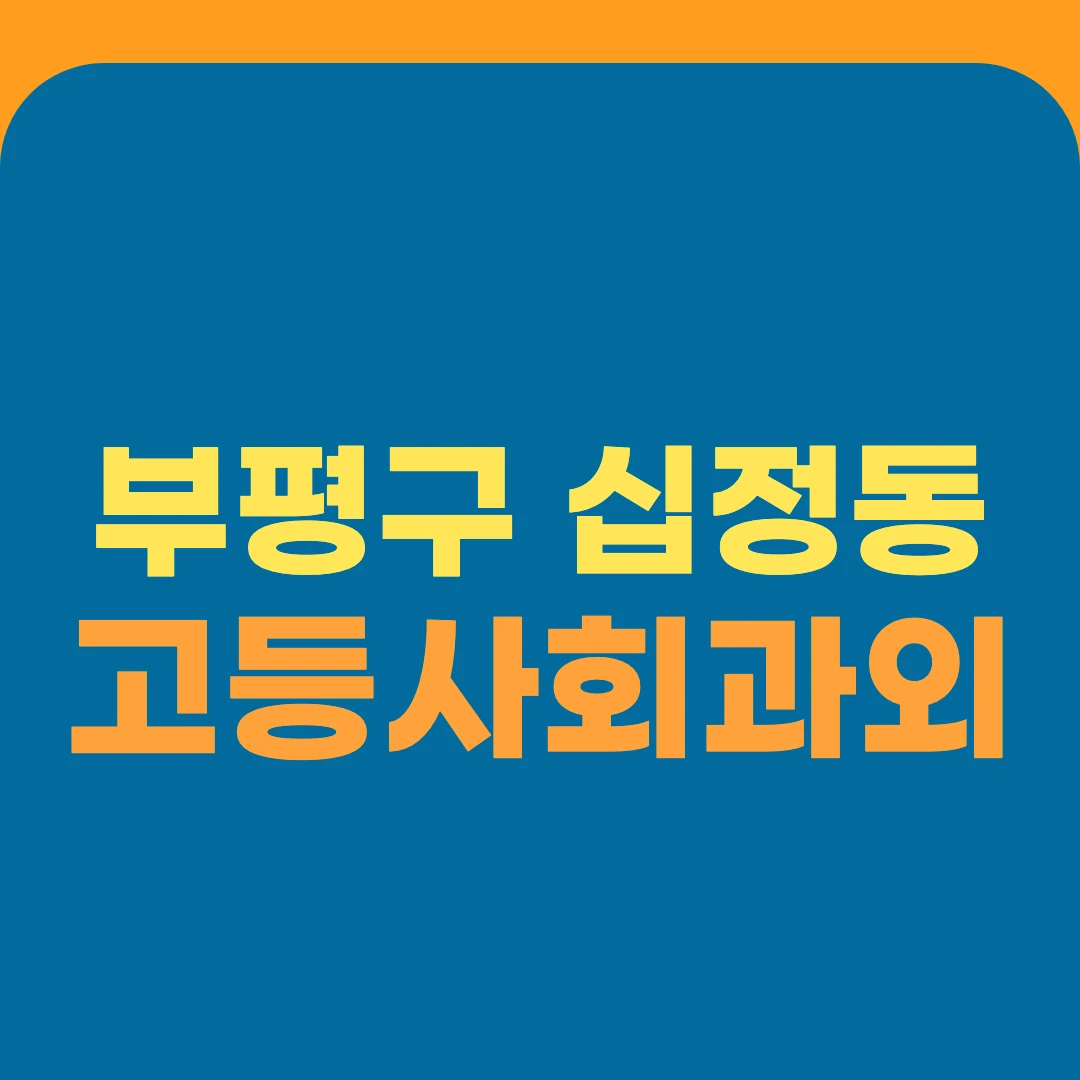 부평구 십정동 고등사회과외