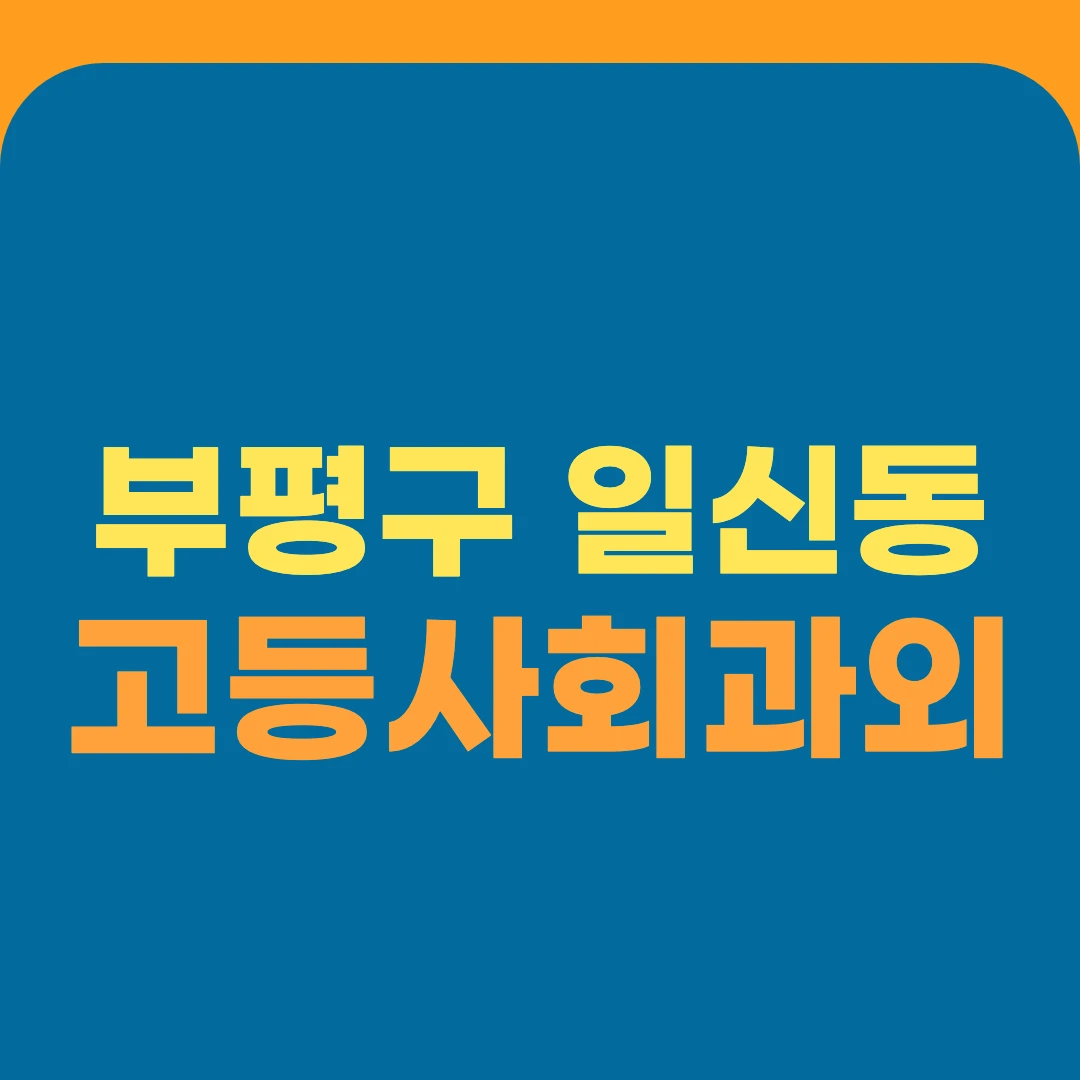 부평구 일신동 고등사회과외