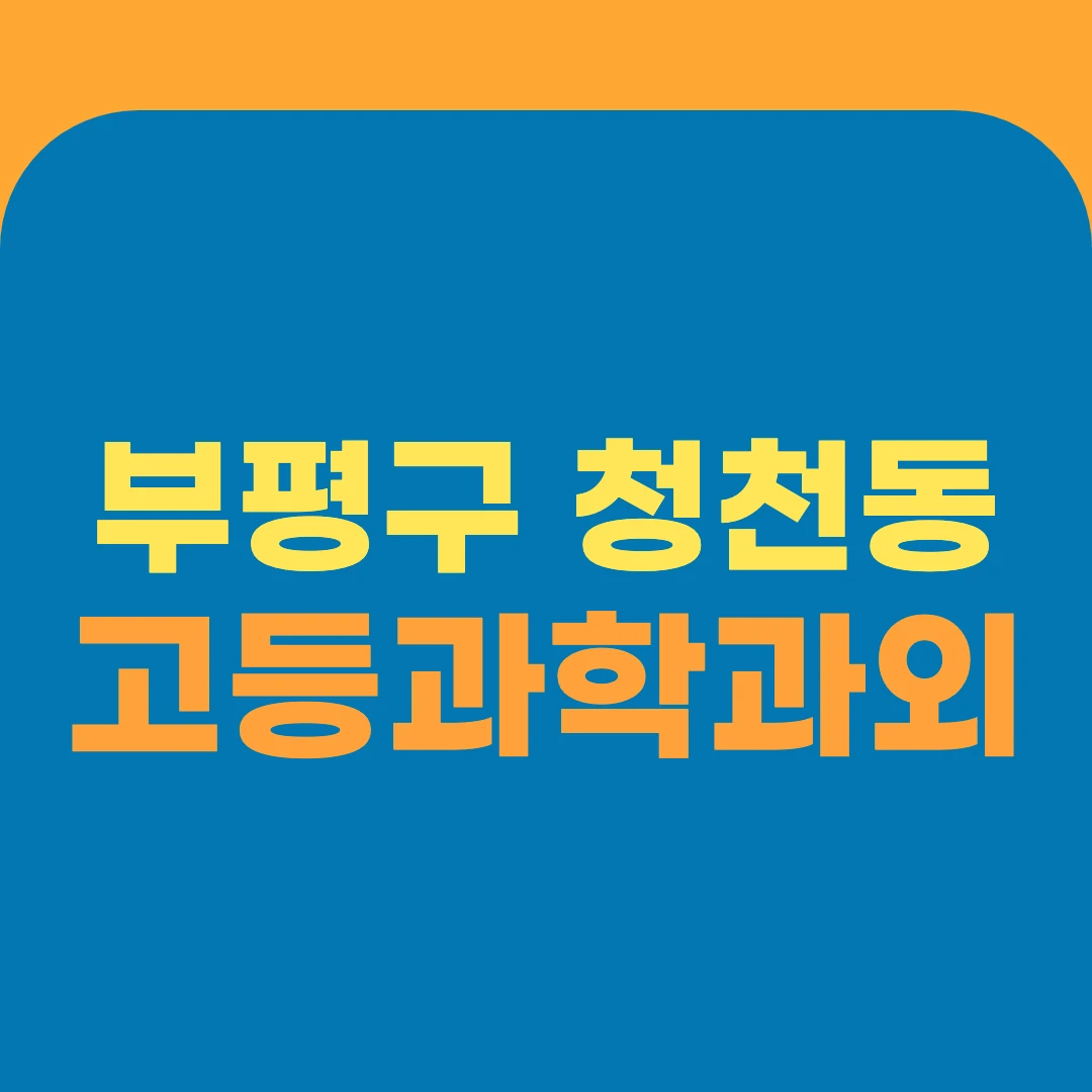 부평구 청천동 고등과학과외