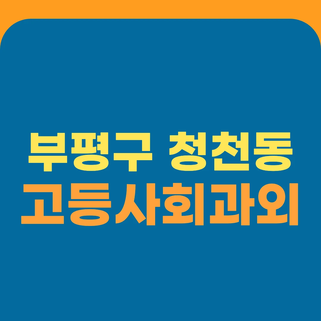 부평구 청천동 고등사회과외