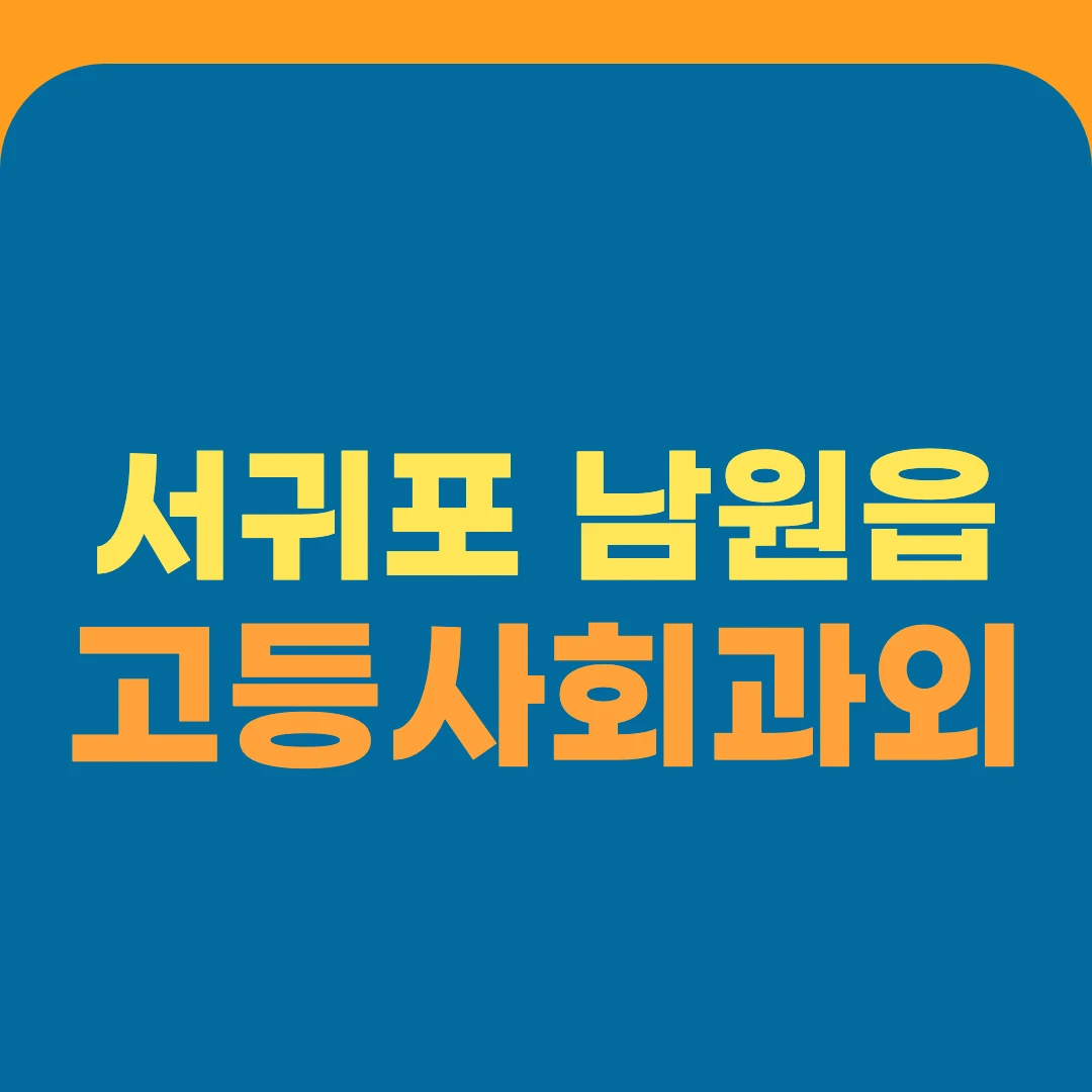 서귀포 남원읍 고등사회과외