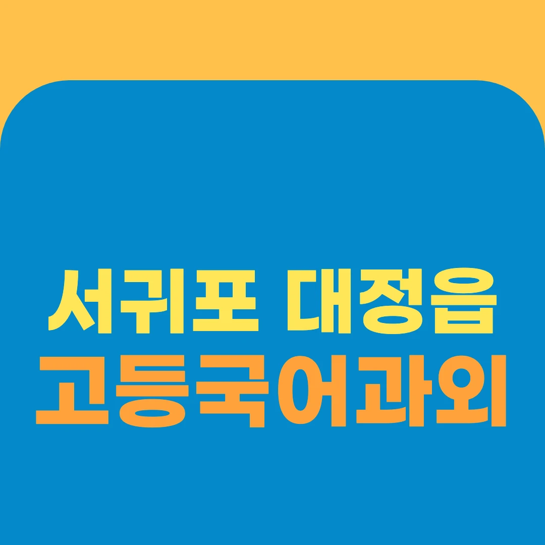 서귀포 대정읍 고등국어과외
