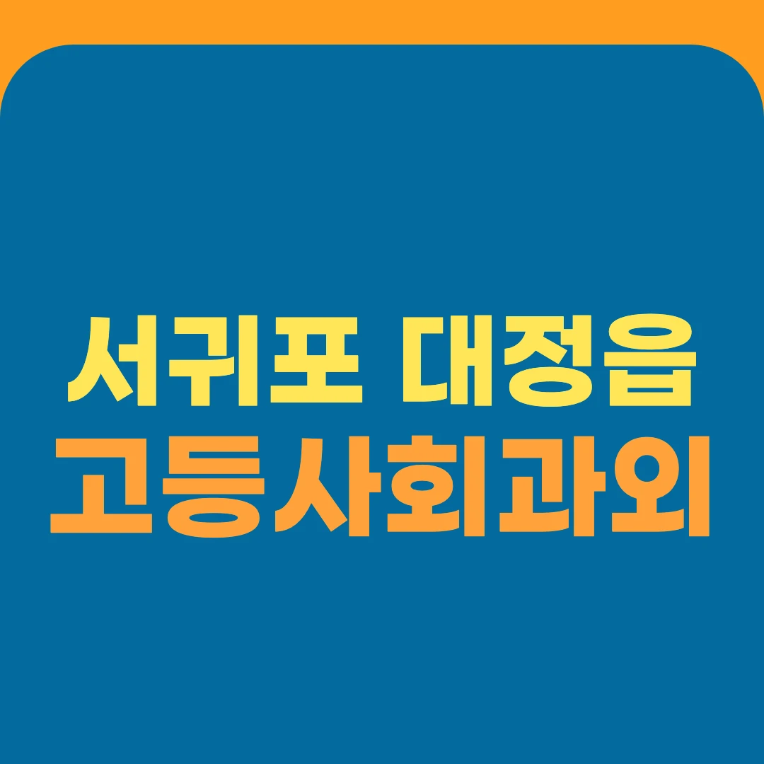 서귀포 대정읍 고등사회과외