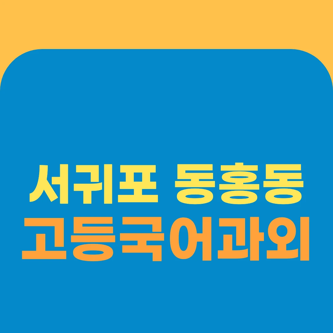 서귀포 동홍동 고등국어과외
