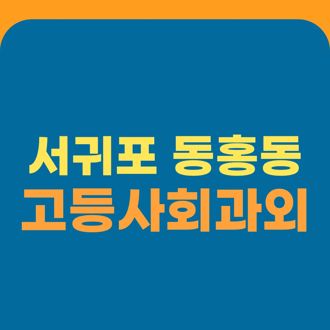 서귀포 동홍동 고등사회과외