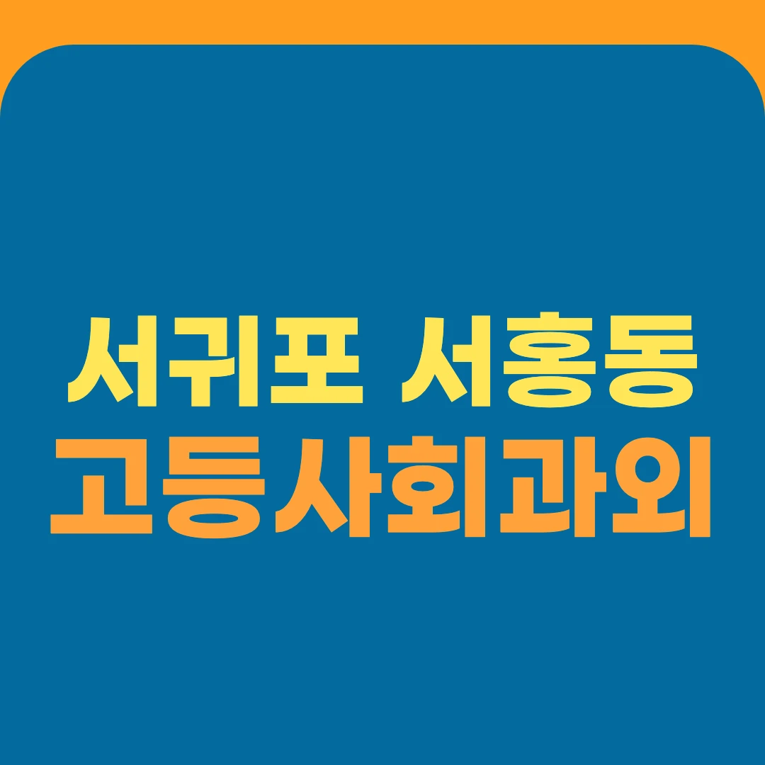 서귀포 서홍동 고등사회과외