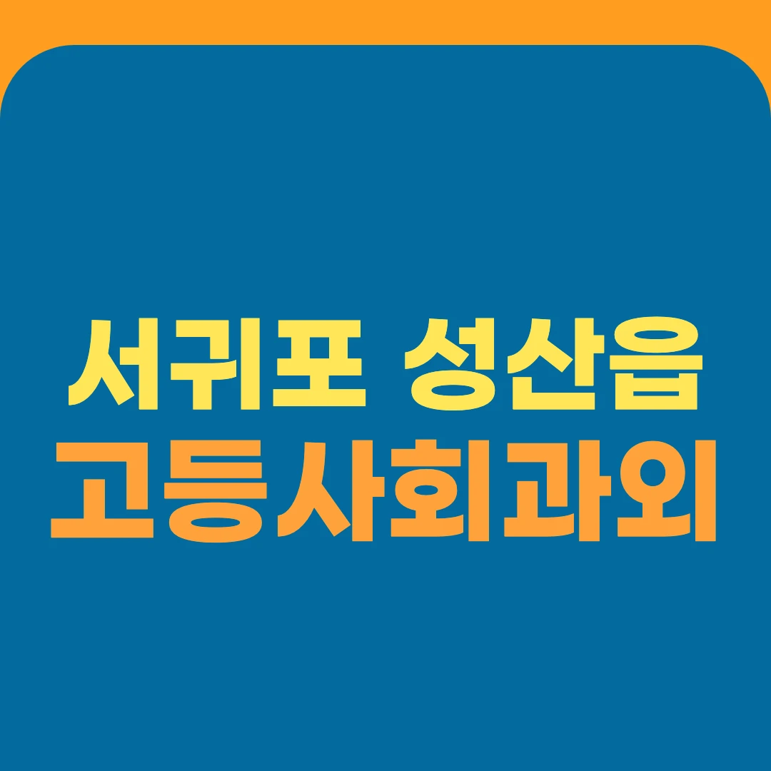서귀포 성산읍 고등사회과외