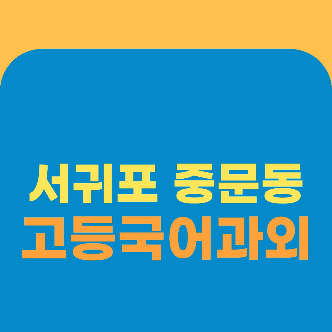 서귀포 중문동 고등국어과외