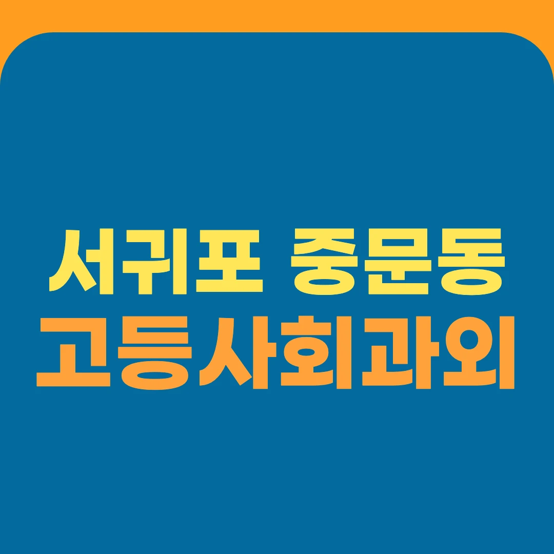 서귀포 중문동 고등사회과외