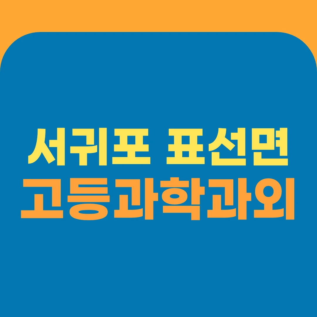 서귀포 표선면 고등과학과외