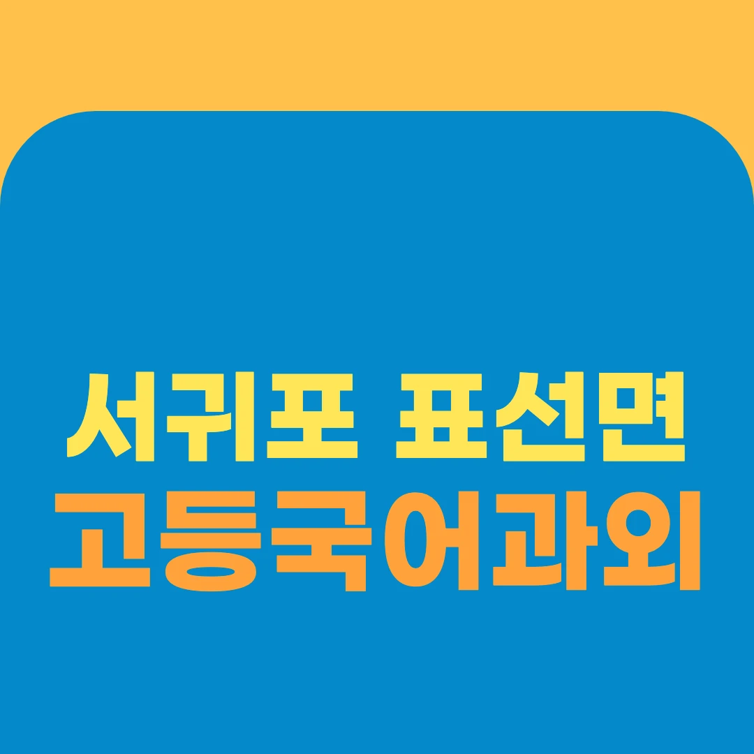 서귀포 표선면 고등국어과외