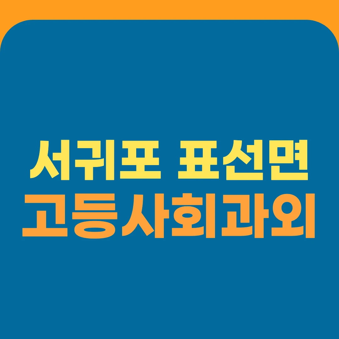 서귀포 표선면 고등사회과외