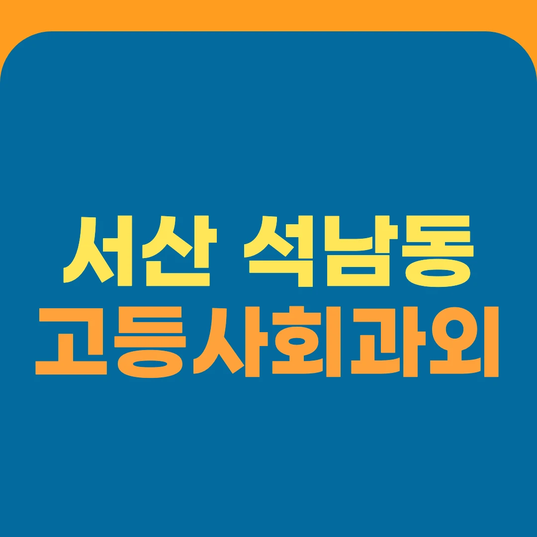서산 석남동 고등사회과외