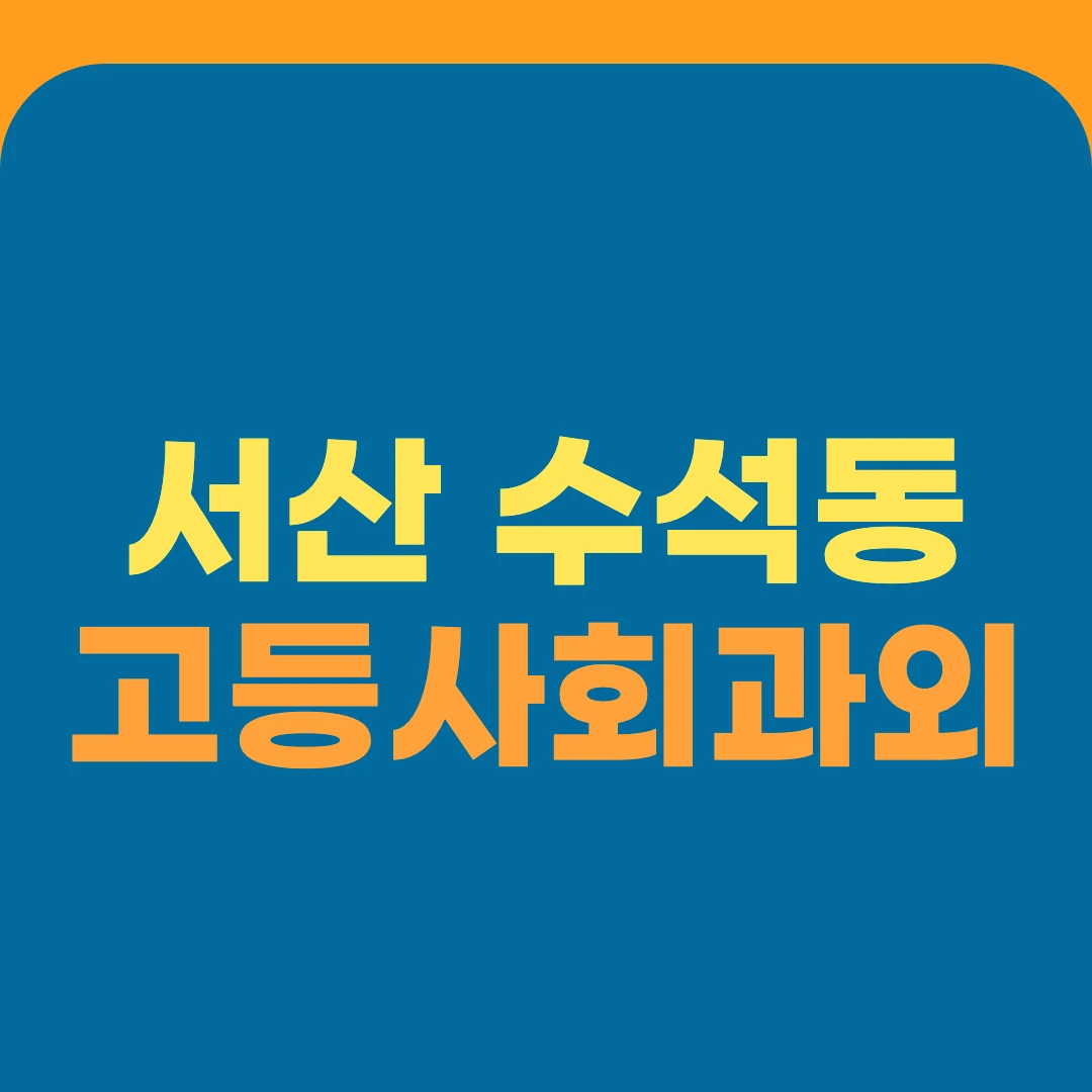 서산 수석동 고등사회과외