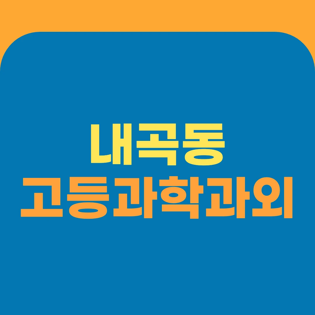 내곡동 고등과학과외