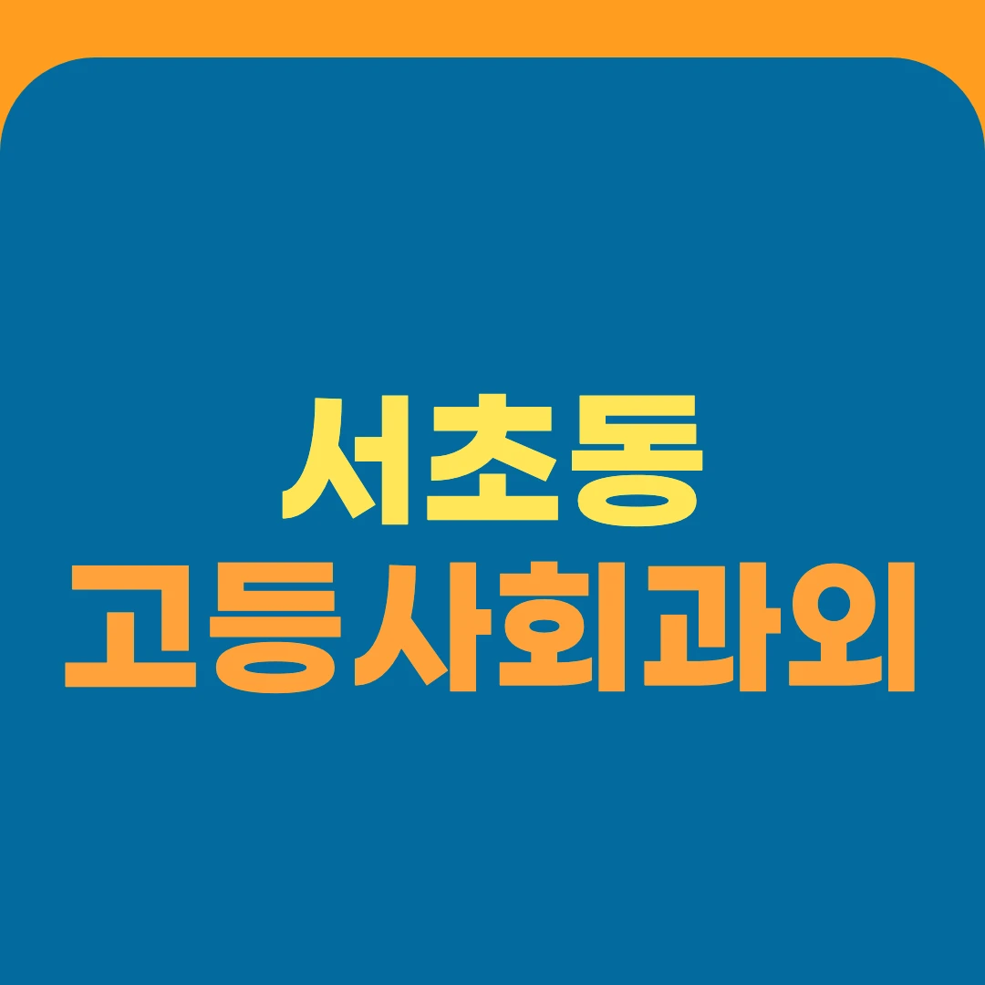 서초동 고등사회과외