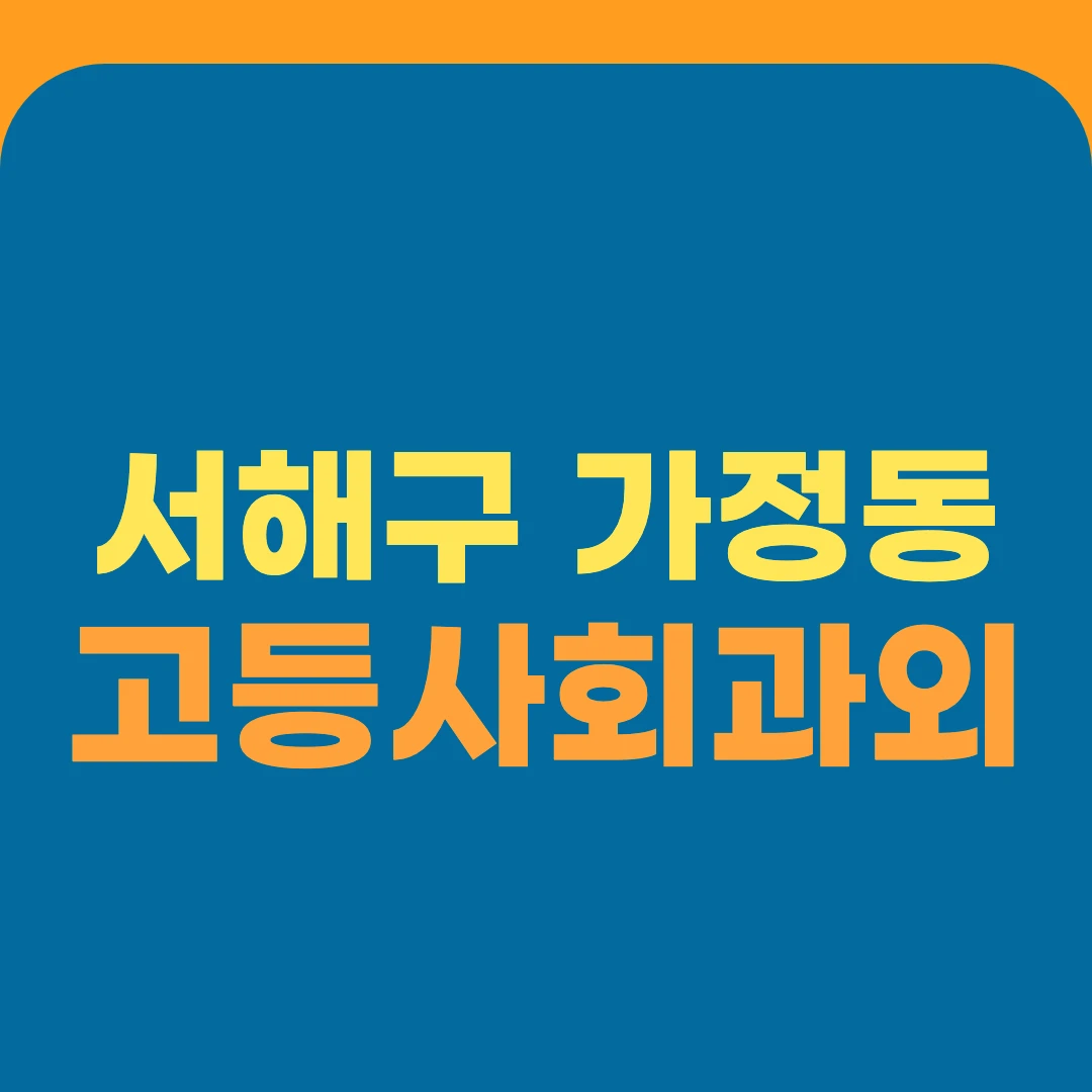서해구 가정동 고등사회과외
