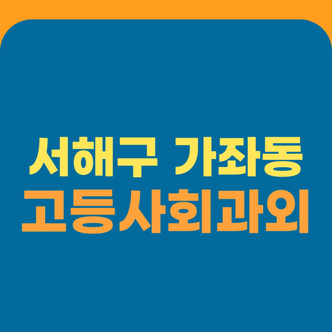 서해구 가좌동 고등사회과외