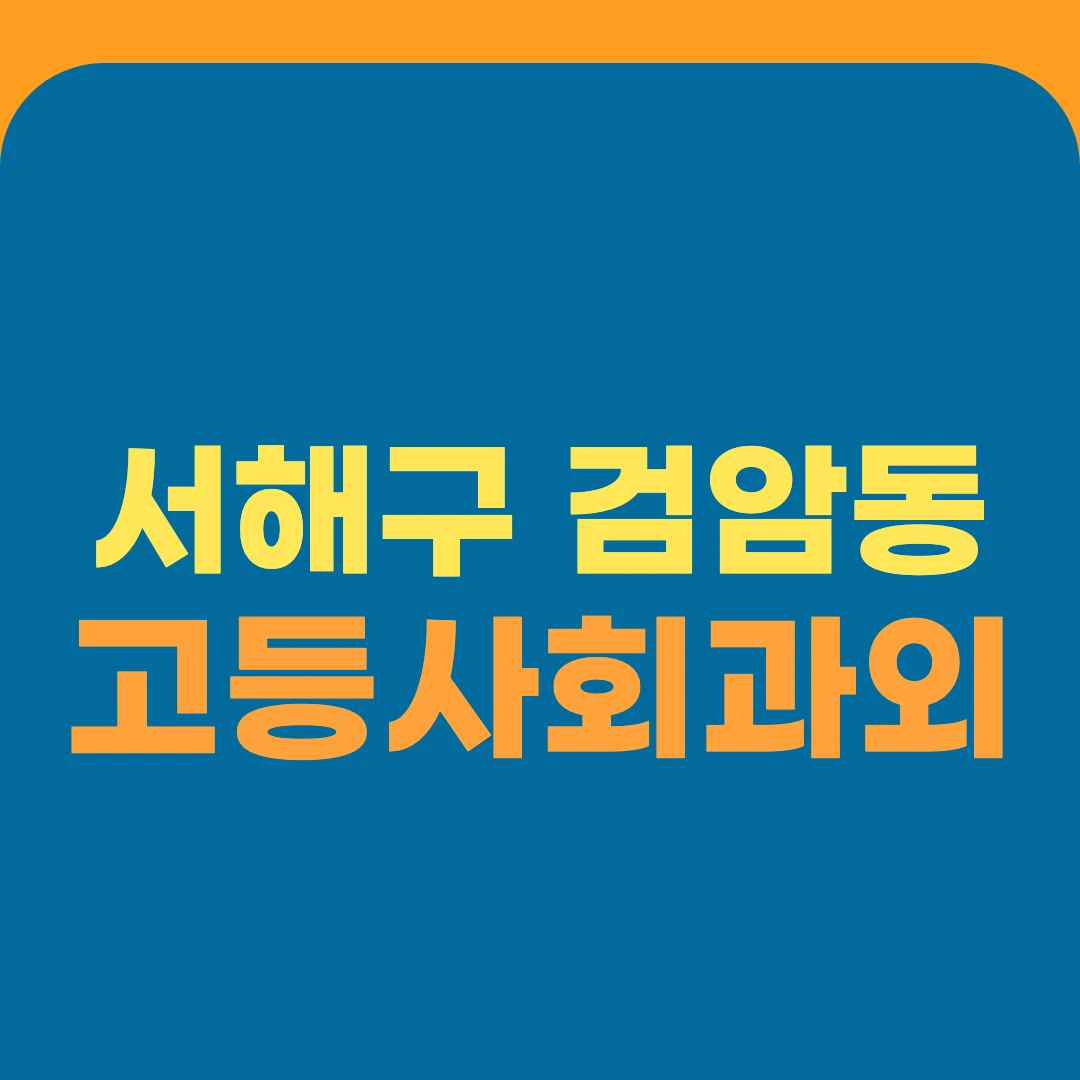 서해구 검암동 고등사회과외