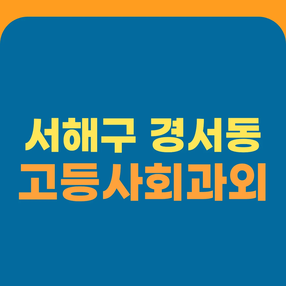 서해구 경서동 고등사회과외