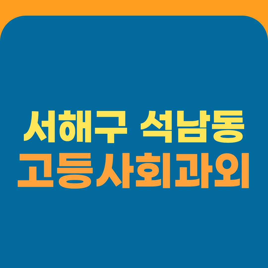 서해구 석남동 고등사회과외