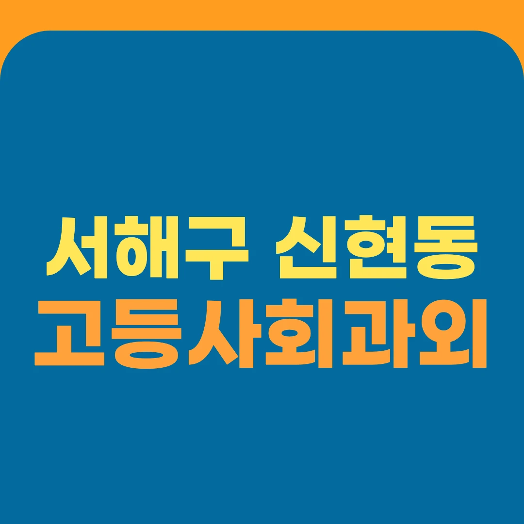 서해구 신현동 고등사회과외
