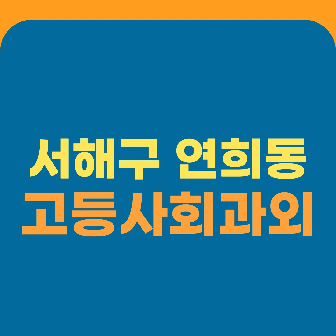 서해구 연희동 고등사회과외
